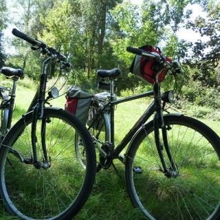Bicicletas de hombre y de mujer