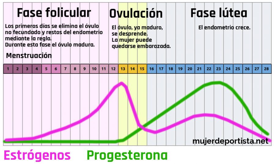 Deporte con el ciclo menstruacion